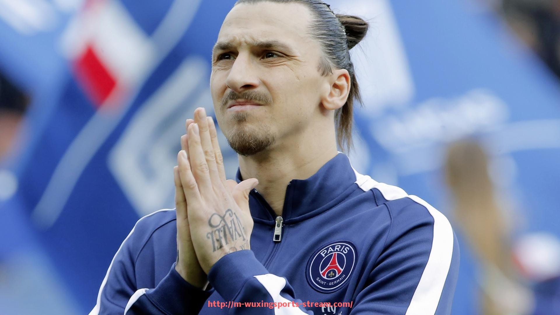 五星体育直播-法甲外援市场适应性综合总结及未来发展预测